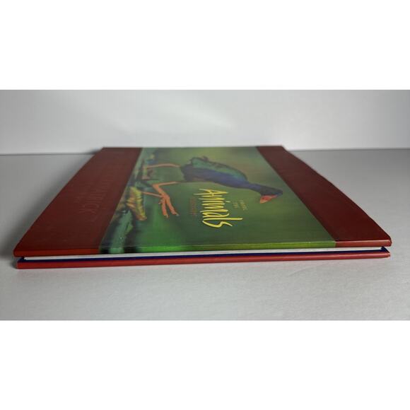 AMONG THE ANIMALS: MISSISSIPPI By Stephen Kirkpatrick & Stephen Kirkpatrick Sign - Picture 5 of 10